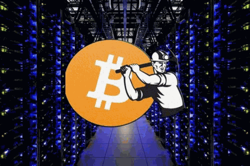 aave币钱包哪个最安全可靠 主流的aave币钱包推荐