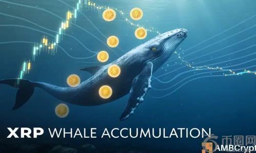鲸鱼两周内豪购9.62亿美元XRP，4美元目标或成现实？