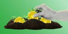 加密货币中的代币农场是什么？Token Farms如何运作？