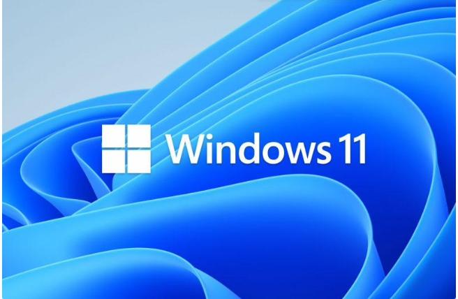 启用或禁用Windows11存档应用功能的方法