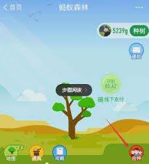 支付宝种树约定在哪参与