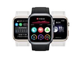 华为watchd2有哪些功能