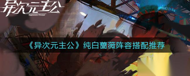 纯白蔷薇异次元主公搭配攻略