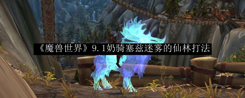 魔兽世界 9.1奶骑晋升高塔打法