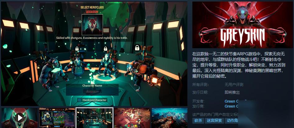 俯视角动作角色扮演游戏 灰皮 现已在Steam平台推出试玩Demo