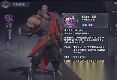 牛皋魂环怎么选 全面解析与搭配推荐