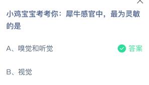 小鸡宝宝考考你犀牛哪个感官最灵敏