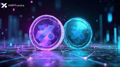 Solana 区块链遇上劲敌 XRP Tundra 的双代币架构引人注目