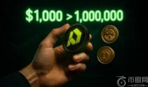 专家建议：想将1000美元投资变成100万美元 选择Paydax (PDP)，而非狗狗币或柴犬币