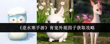 逆水寒手游育宠外观因子如何获取