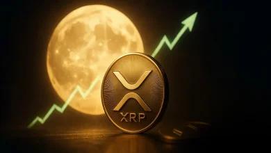分析师分享 XRP 价格关键见解，可能突破 100 美元