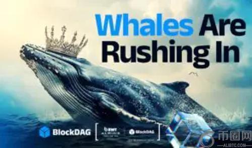 第四季度加密货币焦点：BlockDAG、XRP、Stellar 和 Chainlink 的崛起与较量