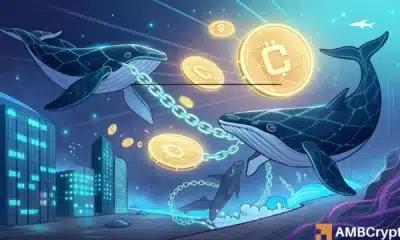 LINK 下跌 16% 后，鲸鱼能否扭转 Chainlink 的未来