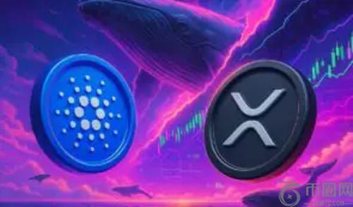 Cardano持续低迷，XRP鲸鱼回归引发市场关注——分析师提示年度买入良机