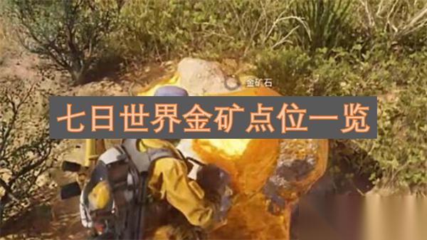 七日世界金矿点位介绍