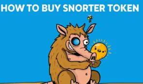 如何通过四个简单步骤购买 Snorter 代币 – 常见问题解答、权益及领取流程。所有问题解答