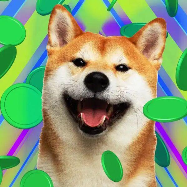 公链是否一定要拥抱 Meme 潮流