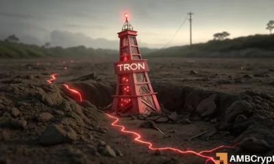 Tron 跌破 0.30 美元 – 为什么 TRX 值得关注这一水平