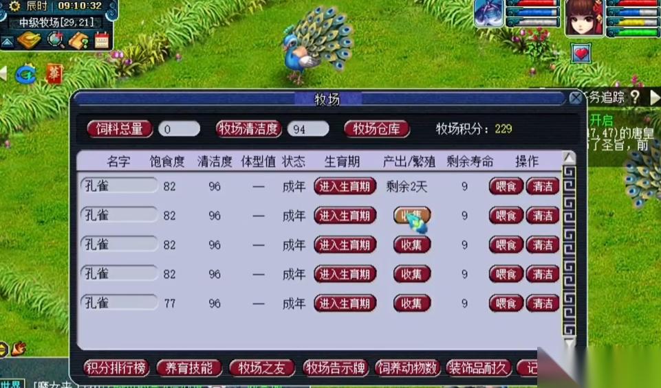梦幻西游牧场孔雀毛能干什么
