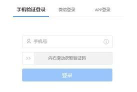 ToDesk如何进行远程使用