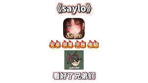 如何删除saylo剧本