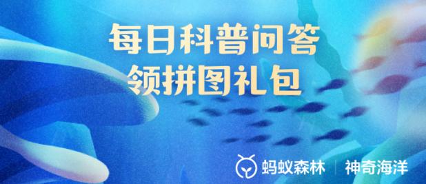 帝企鹅使用哪种独特方式孵化后代