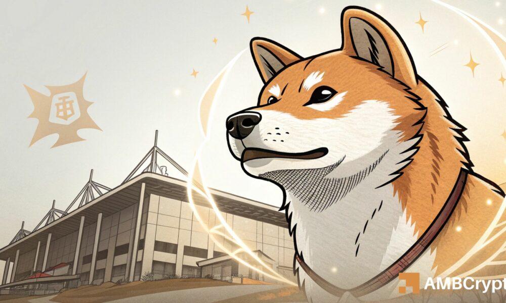 柴犬：评估供应冲击是否会引发柴犬价格反弹