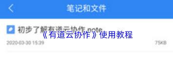 有道云协作如何使用