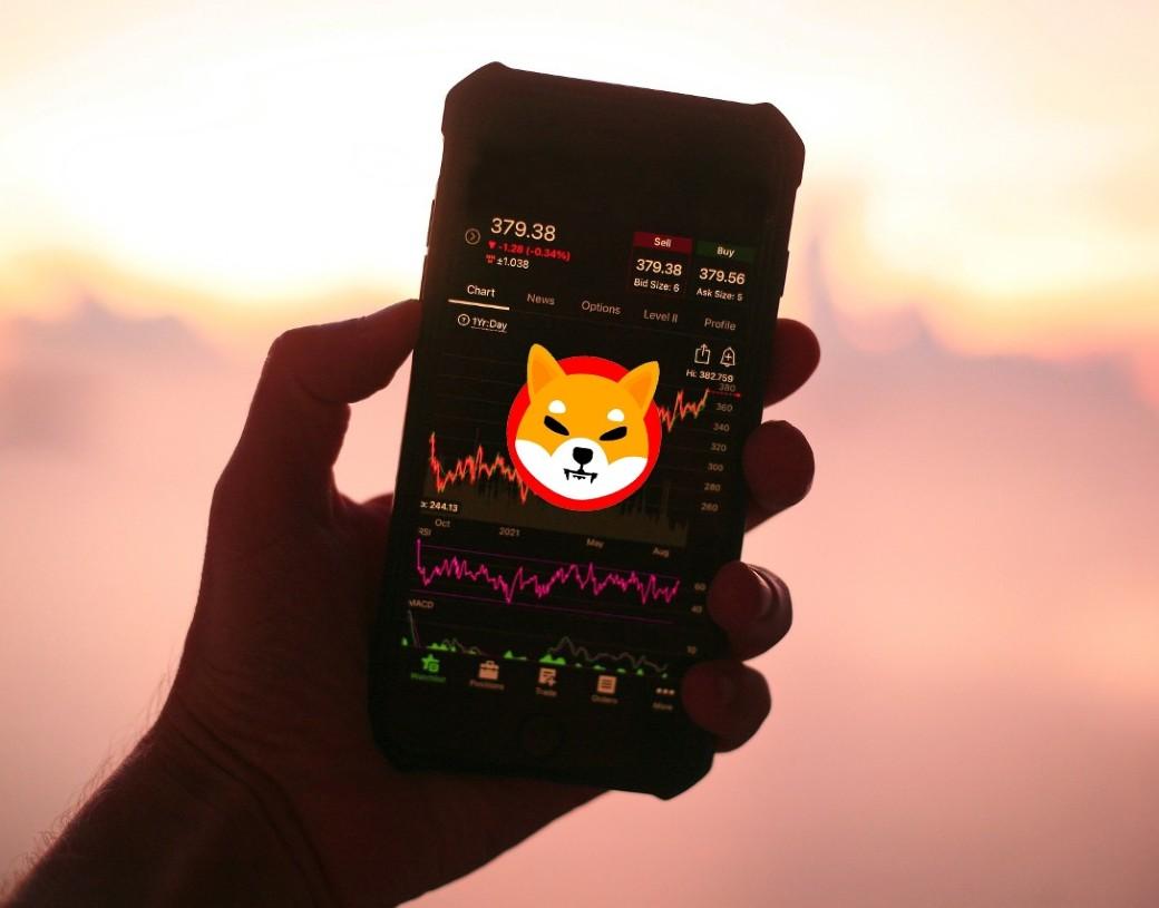 柴犬价格预测：到 2050 年，1000 只柴犬值多少钱