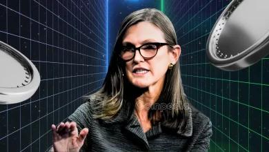 Cathie Wood认为人工智能和加密货币流动性即将缓解
