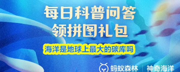 海洋是地球上最大的碳库吗