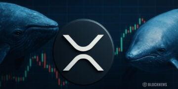 加密货币市场大幅回调——XRP表面看似疲软，实则暗藏玄机