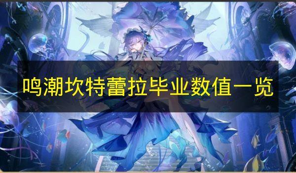 鸣潮 坎特蕾拉毕业数值一览