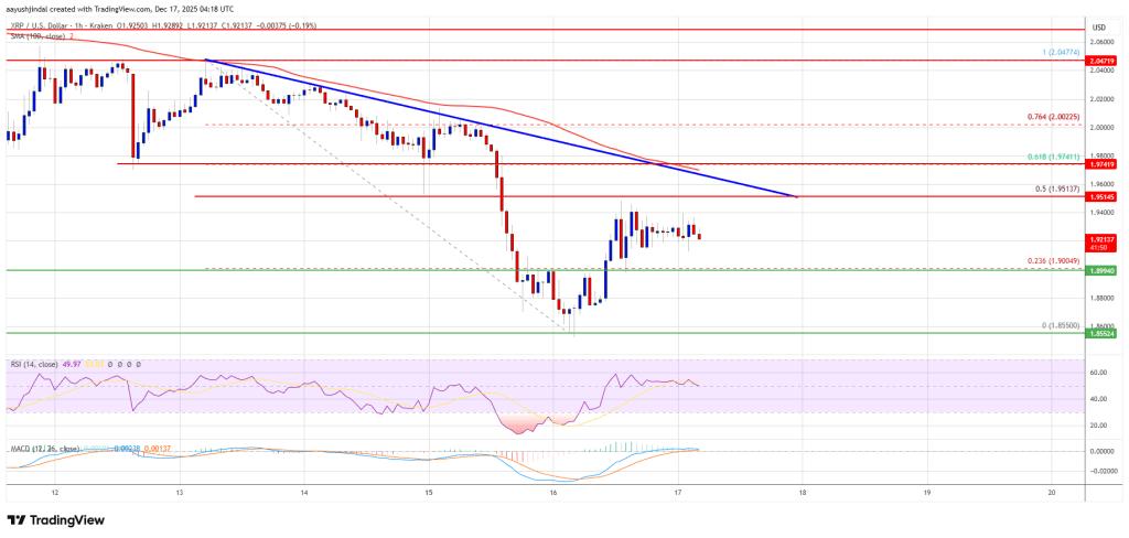XRP价格复苏看似脆弱——多头能否突破价格上限