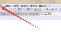 Notepad++文件列表面板如何隐藏扩展名栏