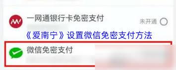 爱南宁如何关闭免密支付