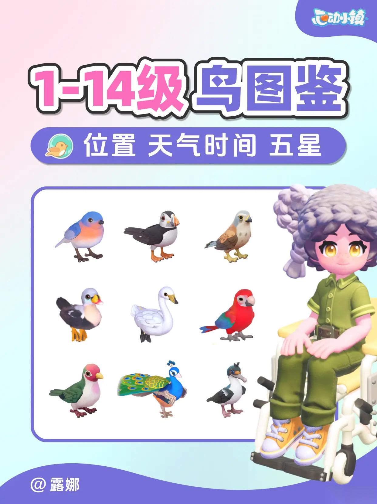 心动小镇观鸟全图鉴在哪里大全 心动小镇鸟类分布图