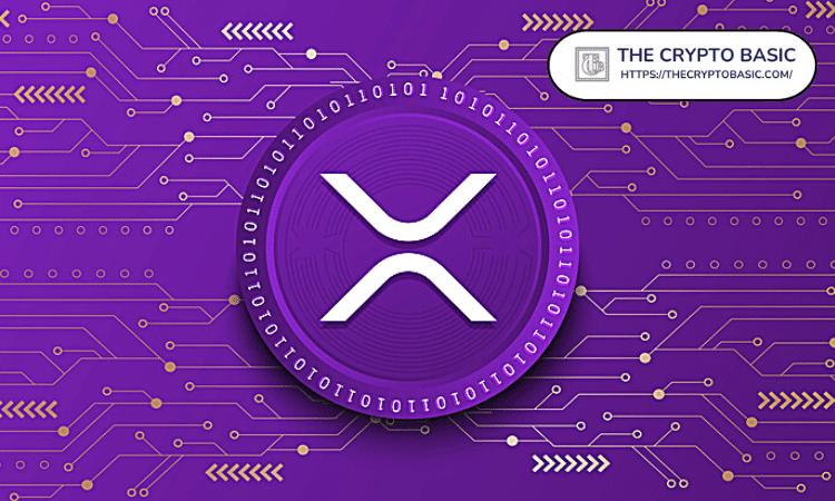 专家称，持有 20,000 个 XRP 无法实现财务自由