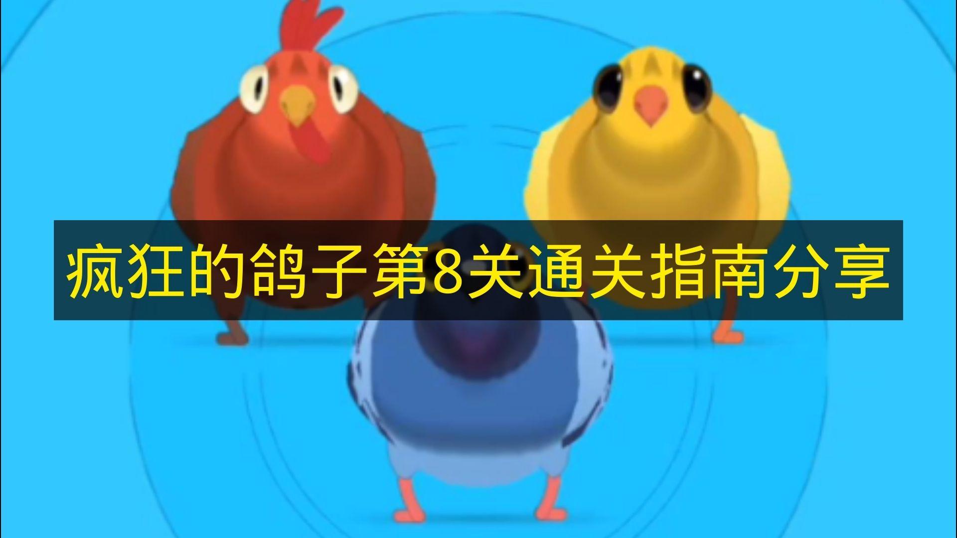 疯狂的鸽子 第8关通关指南分享