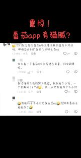 番茄免费小说为什么耗电