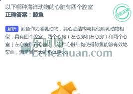 哪种海洋动物有四颗心脏