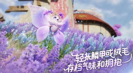 伊莫 二测房车家园收益一览表