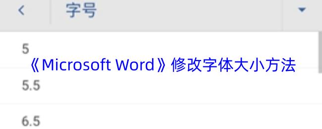 Microsoft Word 修改字体大小方法