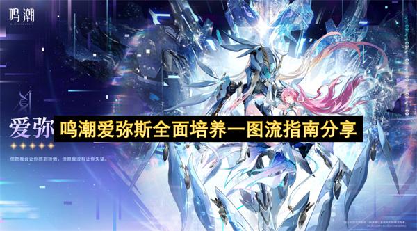 鸣潮爱弥斯全面培养一图流指南分享