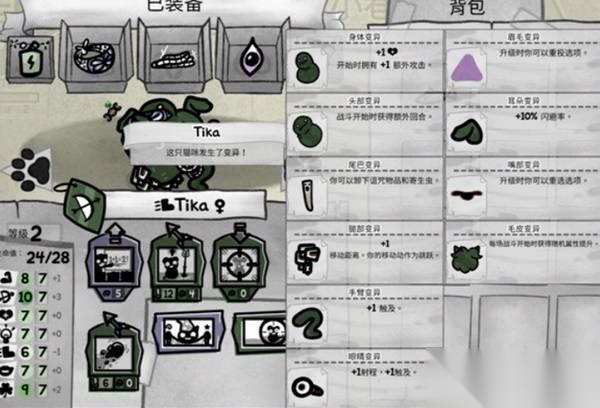 喵喵的结合 全7猫养成思路