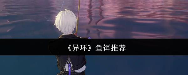 异环 鱼饵推荐