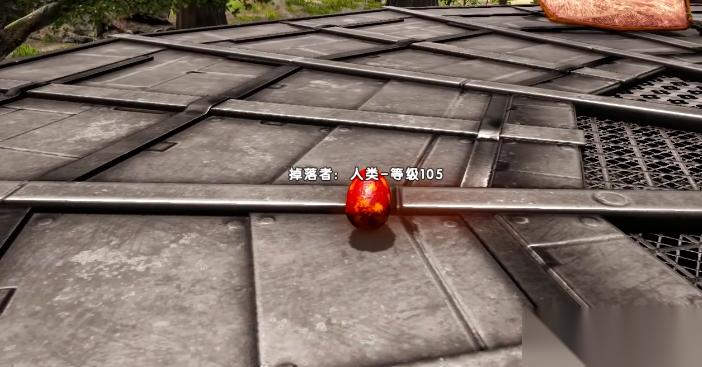 方舟生存进化捡的龙蛋怎么孵化