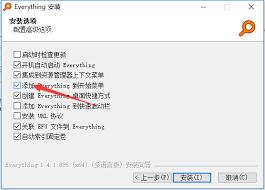 Everything如何设置启动时自动检查更新