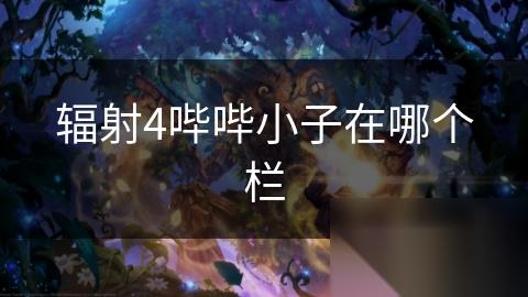 辐射4哔哔小子在哪个栏