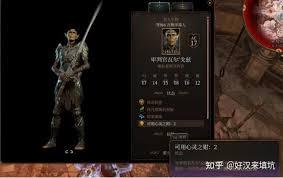 博德之门3硬核模式怎么高爆发附伤配装